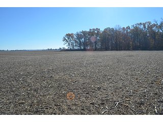 Tract 3 - FARMLAND AUCTION - 165.5+/- ACRES OFFERED IN 5 TRACTS OR COMBINATIONS IN EAST ALLEN COUNTY